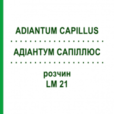 АДИАНТУМ САПИЛЛЮС (ADIANTUM CAPILLUS) LM 21 раствор 10 мл - Гомеопатия ARCANA DR.SEWERIN