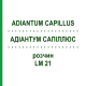 АДИАНТУМ САПИЛЛЮС (ADIANTUM CAPILLUS) LM 21 раствор 10 мл - Гомеопатия ARCANA DR.SEWERIN
