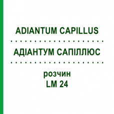 АДИАНТУМ САПИЛЛЮС (ADIANTUM CAPILLUS) LM 24 раствор 10 мл - Гомеопатия ARCANA DR.SEWERIN