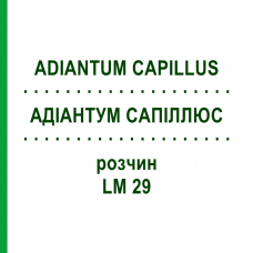 АДИАНТУМ САПИЛЛЮС (ADIANTUM CAPILLUS) LM 29 раствор 10 мл - Гомеопатия ARCANA DR.SEWERIN