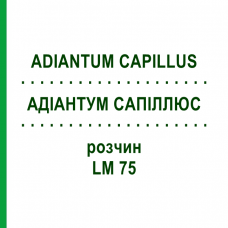 АДИАНТУМ САПИЛЛЮС (ADIANTUM CAPILLUS) LM 75 раствор 10 мл - Гомеопатия ARCANA DR.SEWERIN