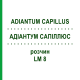 АДИАНТУМ САПИЛЛЮС (ADIANTUM CAPILLUS) LM 8 раствор 10 мл - Гомеопатия ARCANA DR.SEWERIN