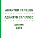 АДИАНТУМ САПИЛЛЮС (ADIANTUM CAPILLUS) LM 9 раствор 10 мл - Гомеопатия ARCANA DR.SEWERIN