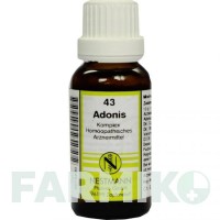 АДОНІС КОМПЛЕКС (ADONIS KOMPLEX) розчин 20 мл - Гомеопатія NESTMANN PHARMA