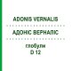АДОНИС ВЕРНАЛИС (ADONIS VERNALIS) D 12 глобули 10 г - Гомеопатия DHU