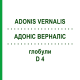 АДОНИС ВЕРНАЛИС (ADONIS VERNALIS) D 4 глобули 10 г - Гомеопатия DHU