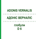 АДОНИС ВЕРНАЛИС (ADONIS VERNALIS) D 6 глобули 10 г - Гомеопатия DHU