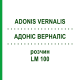 АДОНИС ВЕРНАЛИС (ADONIS VERNALIS) LM 100 раствор 10 мл - Гомеопатия ARCANA DR.SEWERIN