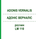 АДОНИС ВЕРНАЛИС (ADONIS VERNALIS) LM 110 раствор 10 мл - Гомеопатия ARCANA DR.SEWERIN