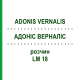 АДОНИС ВЕРНАЛИС (ADONIS VERNALIS) LM 18 раствор 10 мл - Гомеопатия ARCANA DR.SEWERIN