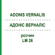 АДОНИС ВЕРНАЛИС (ADONIS VERNALIS) LM 26 раствор 10 мл - Гомеопатия ARCANA DR.SEWERIN
