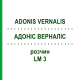 АДОНИС ВЕРНАЛИС (ADONIS VERNALIS) LM 3 раствор 10 мл - Гомеопатия ARCANA DR.SEWERIN