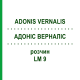 АДОНИС ВЕРНАЛИС (ADONIS VERNALIS) LM 9 раствор 10 мл - Гомеопатия ARCANA DR.SEWERIN