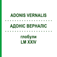 АДОНИС ВЕРНАЛИС (ADONIS VERNALIS) LM XXIV глобули 5 г - Гомеопатия DHU