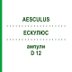 ЭСКУЛЮС (AESCULUS) D 12 ампулы 8x1 мл - Гомеопатия DHU