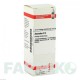 ЭСКУЛЮС (AESCULUS) D 4 раствор 20 мл - Гомеопатия DHU