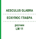 ЭСКУЛЮС ГЛАБРА (AESCULUS GLABRA) LM 11 раствор 10 мл - Гомеопатия ARCANA DR.SEWERIN