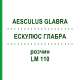 ЭСКУЛЮС ГЛАБРА (AESCULUS GLABRA) LM 110 раствор 10 мл - Гомеопатия ARCANA DR.SEWERIN