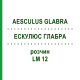 ЭСКУЛЮС ГЛАБРА (AESCULUS GLABRA) LM 12 раствор 10 мл - Гомеопатия ARCANA DR.SEWERIN