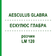 ЭСКУЛЮС ГЛАБРА (AESCULUS GLABRA) LM 120 раствор 10 мл - Гомеопатия ARCANA DR.SEWERIN