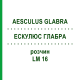 ЭСКУЛЮС ГЛАБРА (AESCULUS GLABRA) LM 16 раствор 10 мл - Гомеопатия ARCANA DR.SEWERIN