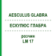 ЭСКУЛЮС ГЛАБРА (AESCULUS GLABRA) LM 17 раствор 10 мл - Гомеопатия ARCANA DR.SEWERIN