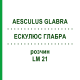ЭСКУЛЮС ГЛАБРА (AESCULUS GLABRA) LM 21 раствор 10 мл - Гомеопатия ARCANA DR.SEWERIN