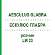 ЭСКУЛЮС ГЛАБРА (AESCULUS GLABRA) LM 23 раствор 10 мл - Гомеопатия ARCANA DR.SEWERIN