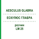ЭСКУЛЮС ГЛАБРА (AESCULUS GLABRA) LM 25 раствор 10 мл - Гомеопатия ARCANA DR.SEWERIN