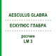 ЭСКУЛЮС ГЛАБРА (AESCULUS GLABRA) LM 3 раствор 10 мл - Гомеопатия ARCANA DR.SEWERIN