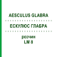 ЭСКУЛЮС ГЛАБРА (AESCULUS GLABRA) LM 8 раствор 10 мл - Гомеопатия ARCANA DR.SEWERIN