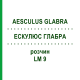 ЭСКУЛЮС ГЛАБРА (AESCULUS GLABRA) LM 9 раствор 10 мл - Гомеопатия ARCANA DR.SEWERIN