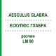 ЭСКУЛЮС ГЛАБРА (AESCULUS GLABRA) LM 90 раствор 10 мл - Гомеопатия ARCANA DR.SEWERIN