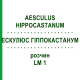 ЭСКУЛЮС ГИППОКАСТАНУМ (AESCULUS HIPPOCASTANUM) LM 1 раствор 10 мл - Гомеопатия ARCANA DR.SEWERIN