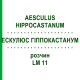 ЭСКУЛЮС ГИППОКАСТАНУМ (AESCULUS HIPPOCASTANUM) LM 11 раствор 10 мл - Гомеопатия ARCANA DR.SEWERIN