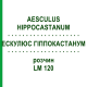 ЭСКУЛЮС ГИППОКАСТАНУМ (AESCULUS HIPPOCASTANUM) LM 120 раствор 10 мл - Гомеопатия ARCANA DR.SEWERIN