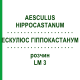 ЭСКУЛЮС ГИППОКАСТАНУМ (AESCULUS HIPPOCASTANUM) LM 3 раствор 10 мл - Гомеопатия ARCANA DR.SEWERIN