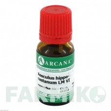 ЭСКУЛЮС ГИППОКАСТАНУМ (AESCULUS HIPPOCASTANUM) LM 6 раствор 10 мл - Гомеопатия ARCANA DR.SEWERIN