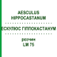 ЭСКУЛЮС ГИППОКАСТАНУМ (AESCULUS HIPPOCASTANUM) LM 75 раствор 10 мл - Гомеопатия ARCANA DR.SEWERIN