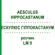 ЭСКУЛЮС ГИППОКАСТАНУМ (AESCULUS HIPPOCASTANUM) LM 9 раствор 10 мл - Гомеопатия ARCANA DR.SEWERIN