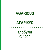 АГАРИКУС (AGARICUS) C 1000 глобули 0,5 г - Гомеопатия GUDJONS