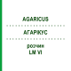 АГАРІКУС (AGARICUS) LM VI розчин 10 мл - Гомеопатія DHU