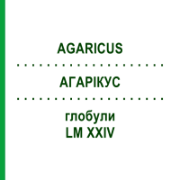 АГАРИКУС (AGARICUS) LM XXIV глобули 5 г - Гомеопатия DHU
