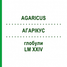 АГАРИКУС (AGARICUS) LM XXIV глобули 5 г - Гомеопатия DHU