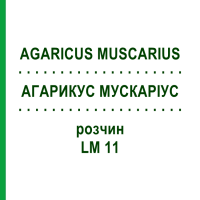 АГАРИКУС МУСКАРІУС (AGARICUS MUSCARIUS) LM 11 розчин 10 мл - Гомеопатія ARCANA DR.SEWERIN