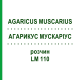АГАРИКУС МУСКАРИУС (AGARICUS MUSCARIUS) LM 110 раствор 10 мл - Гомеопатия ARCANA DR.SEWERIN