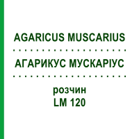 АГАРИКУС МУСКАРІУС (AGARICUS MUSCARIUS) LM 120 розчин 10 мл - Гомеопатія ARCANA DR.SEWERIN