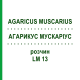 АГАРИКУС МУСКАРИУС (AGARICUS MUSCARIUS) LM 13 раствор 10 мл - Гомеопатия ARCANA DR.SEWERIN