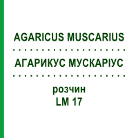 АГАРИКУС МУСКАРІУС (AGARICUS MUSCARIUS) LM 17 розчин 10 мл - Гомеопатія ARCANA DR.SEWERIN
