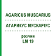 АГАРИКУС МУСКАРИУС (AGARICUS MUSCARIUS) LM 19 раствор 10 мл - Гомеопатия ARCANA DR.SEWERIN